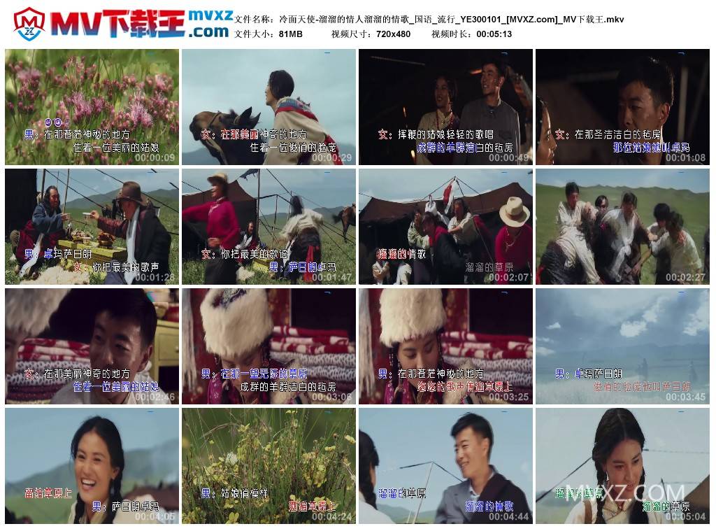 冷面天使-溜溜的情人溜溜的情歌_国语_流行_YE300101